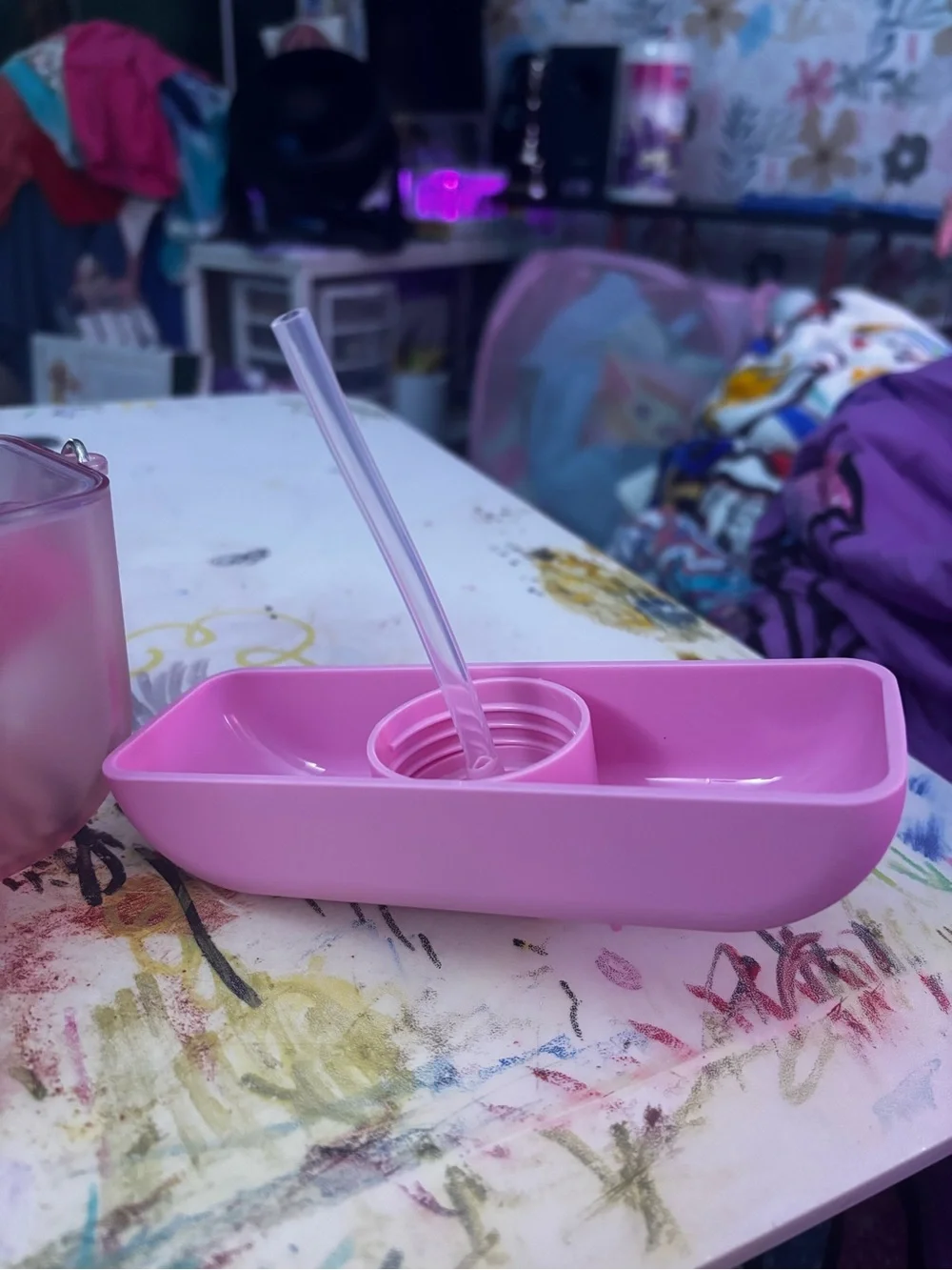 Pink Camera themed water bottle with Strap